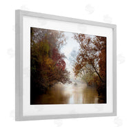 Celebrate Life Gallery | In The Mist Of Autumn