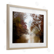 Celebrate Life Gallery | In The Mist Of Autumn