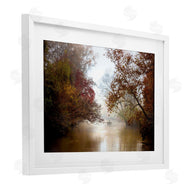 Celebrate Life Gallery | In The Mist Of Autumn