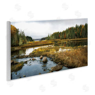 D. Burt | Low Tide River View