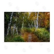 D. Burt | Walk In The Hemlocks Forest