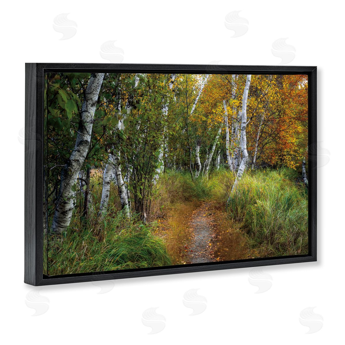 D. Burt Walk In The Hemlocks Forest Canvas Wall Art Print