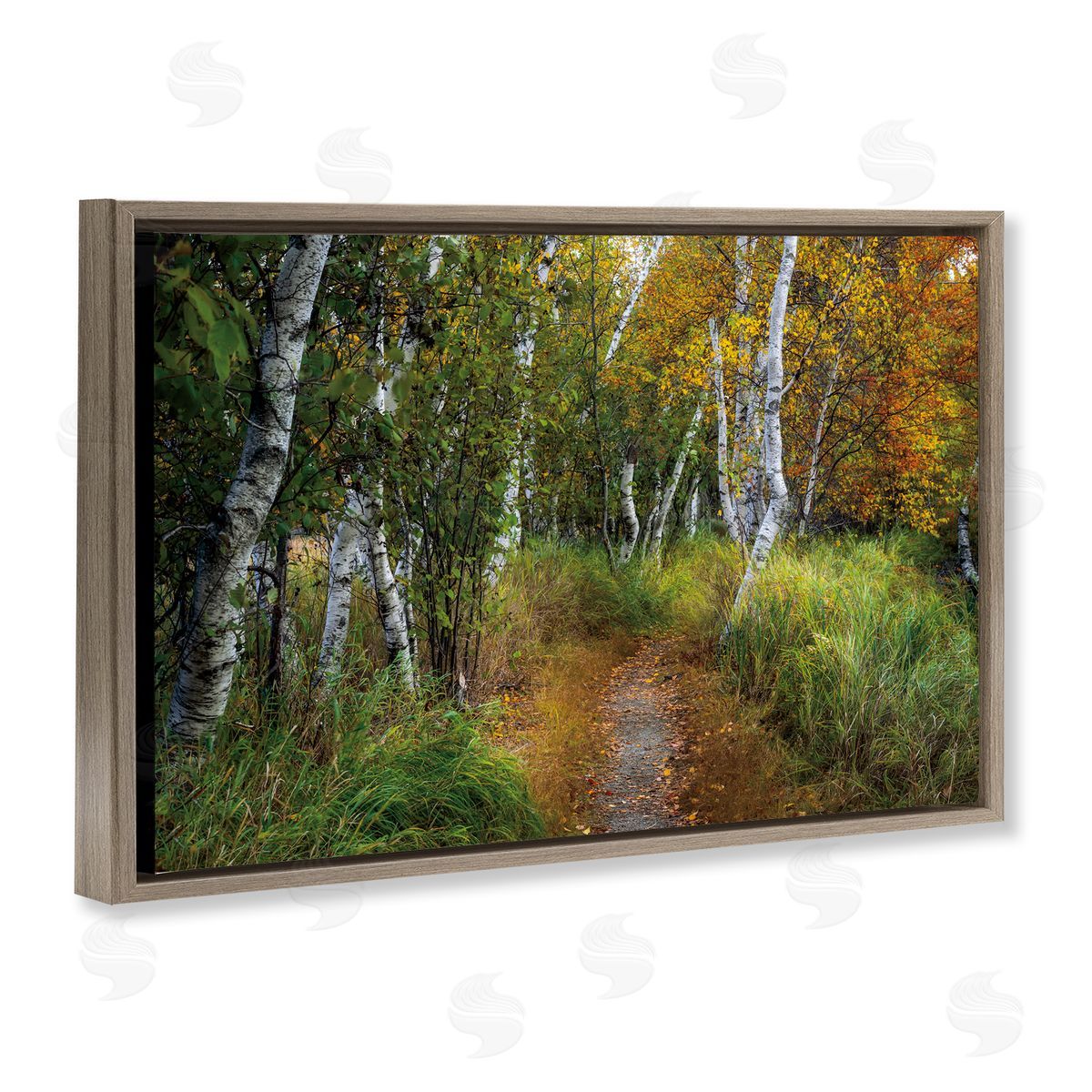 D. Burt Walk In The Hemlocks Forest Canvas Wall Art Print