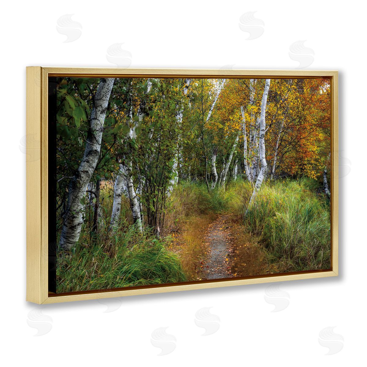 D. Burt Walk In The Hemlocks Forest Canvas Wall Art Print