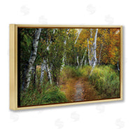 D. Burt | Walk In The Hemlocks Forest