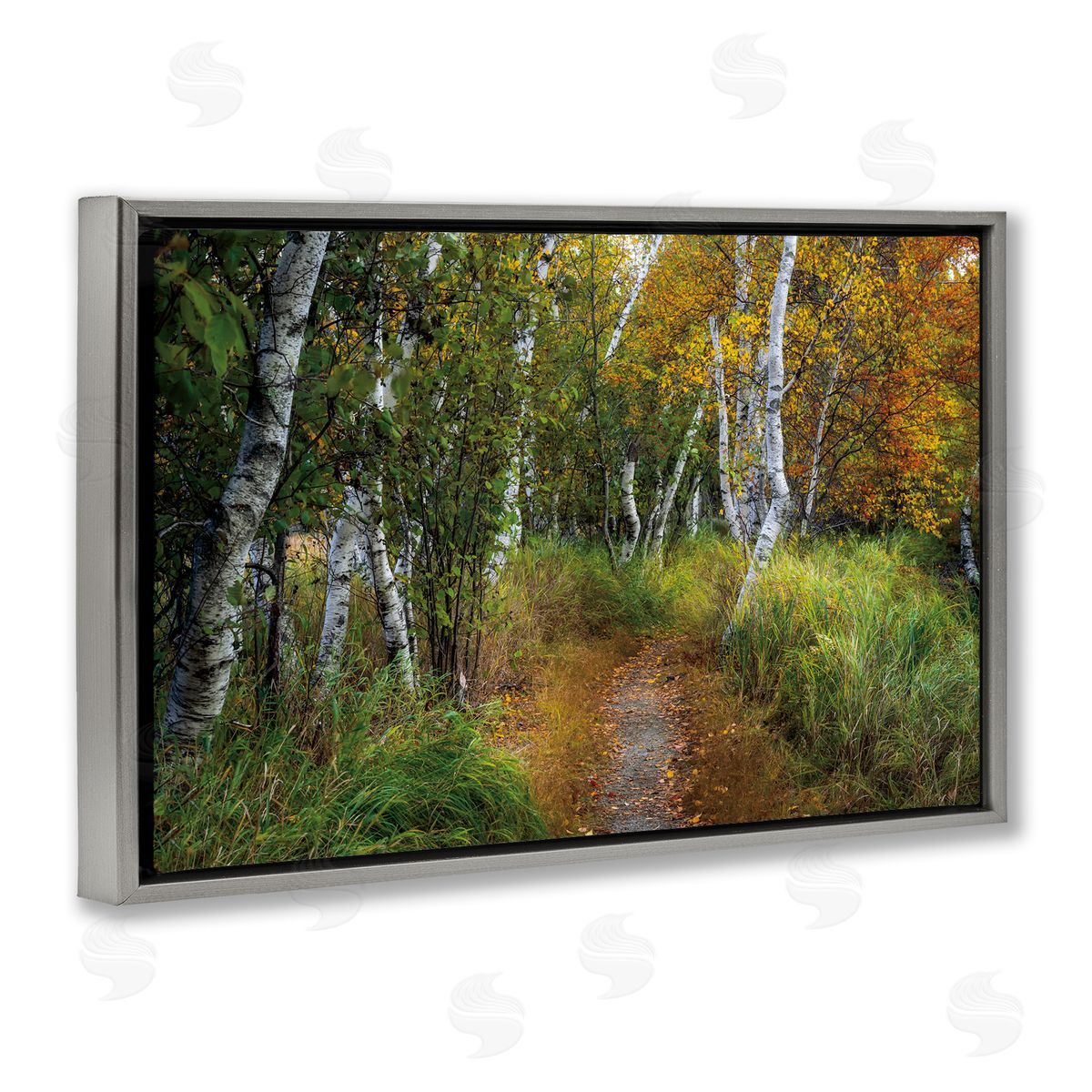 D. Burt Walk In The Hemlocks Forest Canvas Wall Art Print