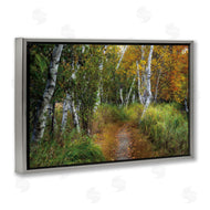 D. Burt | Walk In The Hemlocks Forest