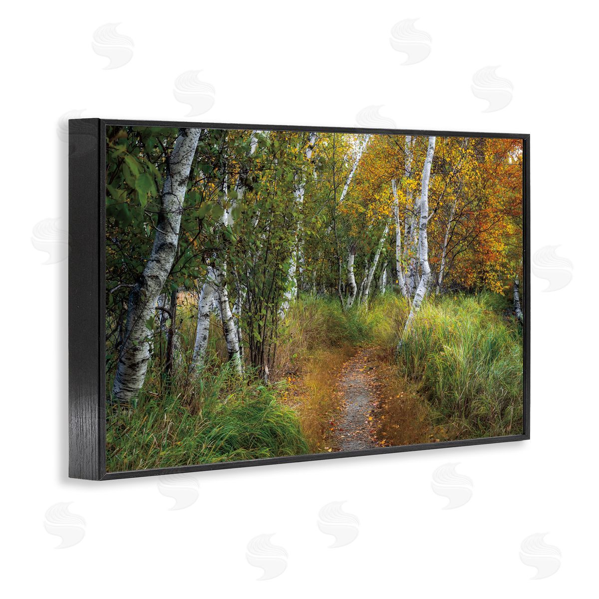 D. Burt Walk In The Hemlocks Forest Canvas Wall Art Print