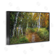 D. Burt | Walk In The Hemlocks Forest