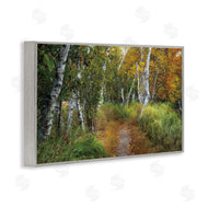 D. Burt | Walk In The Hemlocks Forest