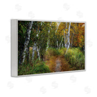 D. Burt | Walk In The Hemlocks Forest