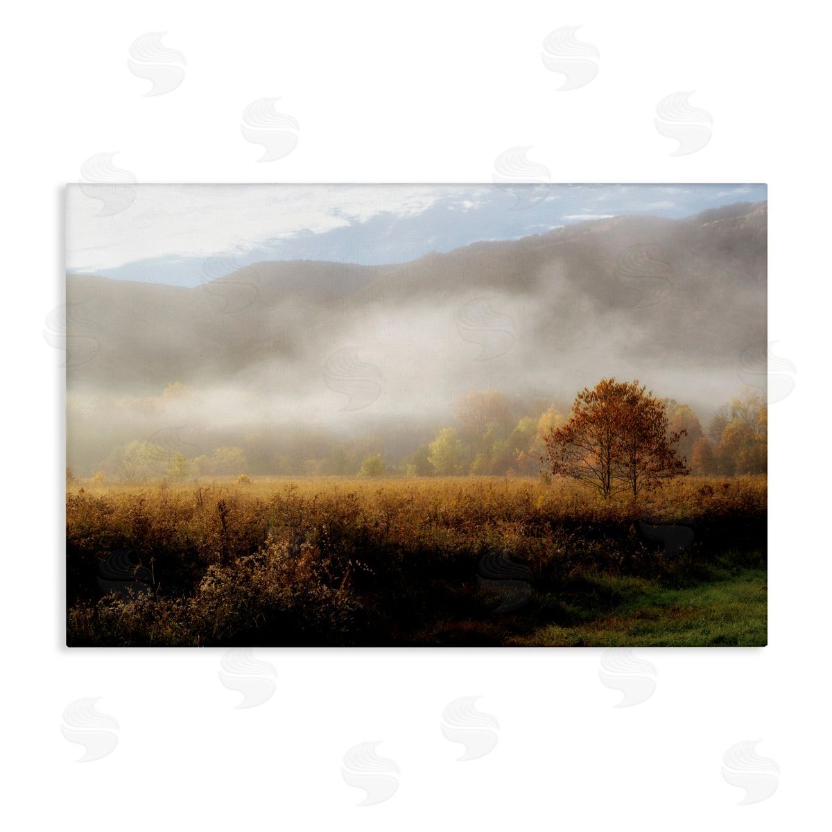D. Burt Lifting Fog over Nature Canvas Wall Art Print