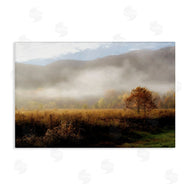 D. Burt | Lifting Fog over Nature