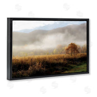 D. Burt | Lifting Fog over Nature