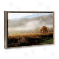 D. Burt | Lifting Fog over Nature
