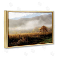 D. Burt | Lifting Fog over Nature