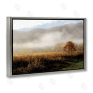 D. Burt | Lifting Fog over Nature
