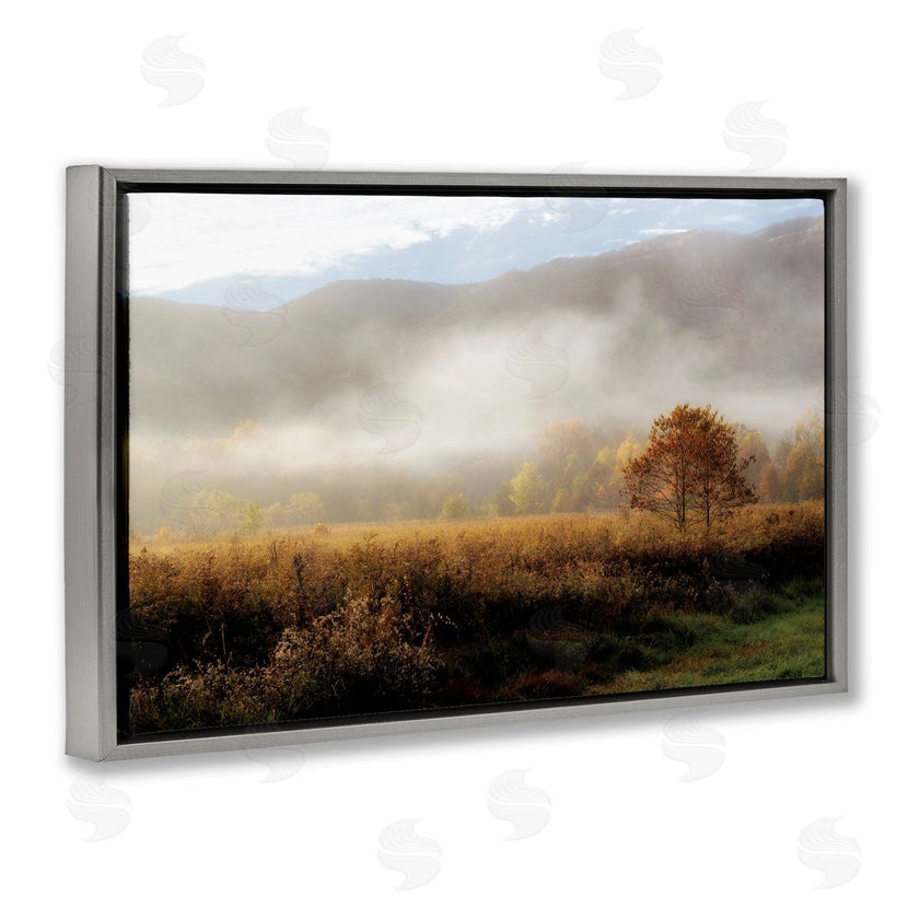 D. Burt | Lifting Fog over Nature