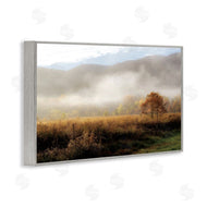D. Burt | Lifting Fog over Nature