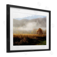 D. Burt | Lifting Fog over Nature