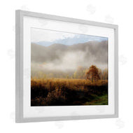 D. Burt | Lifting Fog over Nature