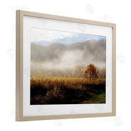 D. Burt | Lifting Fog over Nature