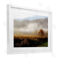 D. Burt | Lifting Fog over Nature