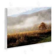 D. Burt | Lifting Fog over Nature