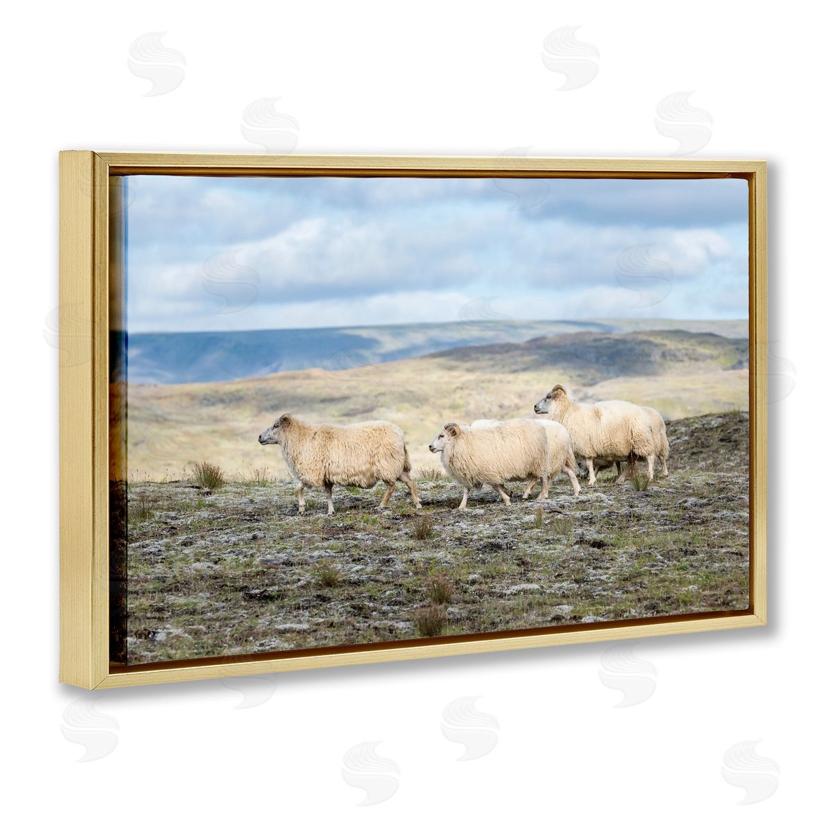 D. Burt Three Friends Sheep in Nature Canvas Wall Art Print