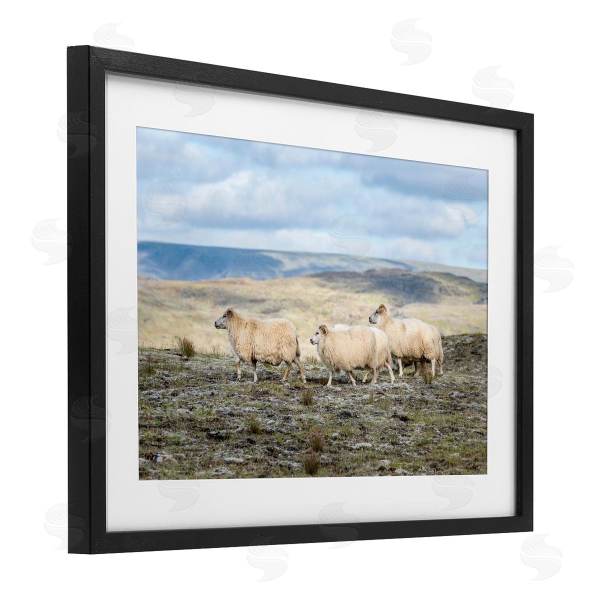 D. Burt Three Friends Sheep in Nature Canvas Wall Art Print