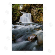 Sean Greenough | Fresh Fall Water Cascading