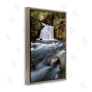 Sean Greenough | Fresh Fall Water Cascading