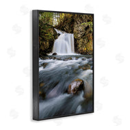 Sean Greenough | Fresh Fall Water Cascading