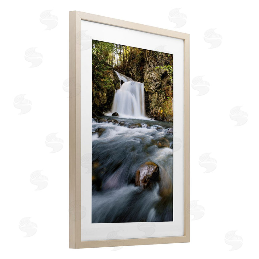 Sean Greenough | Fresh Fall Water Cascading