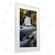 Sean Greenough | Fresh Fall Water Cascading