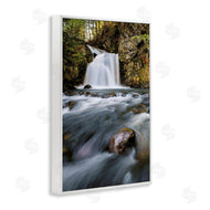 Sean Greenough | Fresh Fall Water Cascading