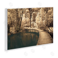 Ily Szilagyi | Take My Lead Curved Bridge