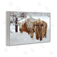 Mike Jones | Winter White Bison