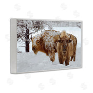 Mike Jones | Winter White Bison