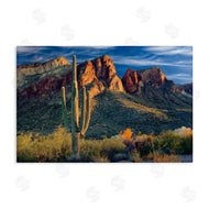 Mike Jones | Found You Cactus in Canyon