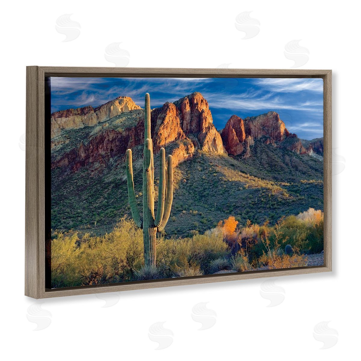 Mike Jones Found You Cactus in Canyon Canvas Wall Art Print