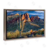 Mike Jones | Found You Cactus in Canyon