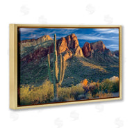 Mike Jones | Found You Cactus in Canyon