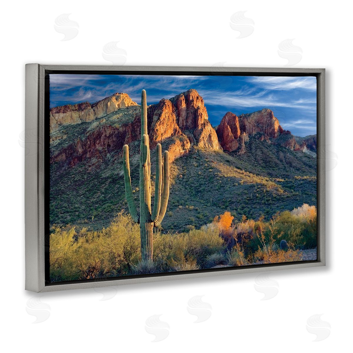 Mike Jones Found You Cactus in Canyon Canvas Wall Art Print