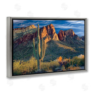 Mike Jones | Found You Cactus in Canyon
