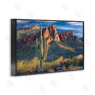 Mike Jones | Found You Cactus in Canyon
