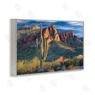 Mike Jones | Found You Cactus in Canyon