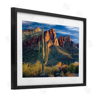 Mike Jones | Found You Cactus in Canyon