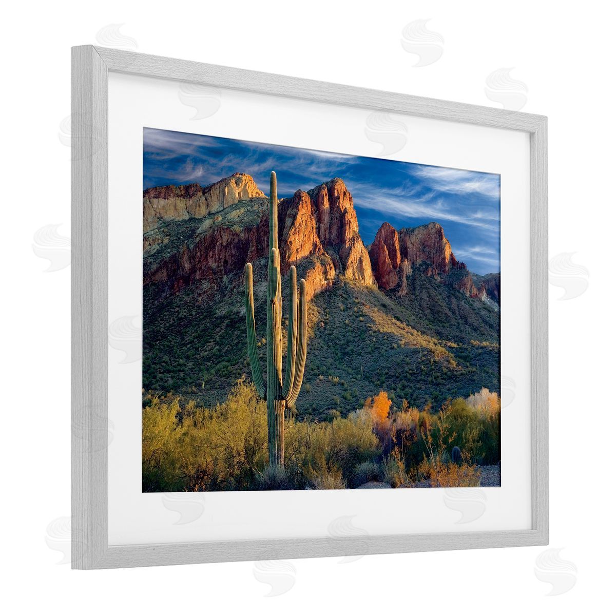 Mike Jones Found You Cactus in Canyon Canvas Wall Art Print