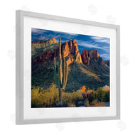 Mike Jones | Found You Cactus in Canyon